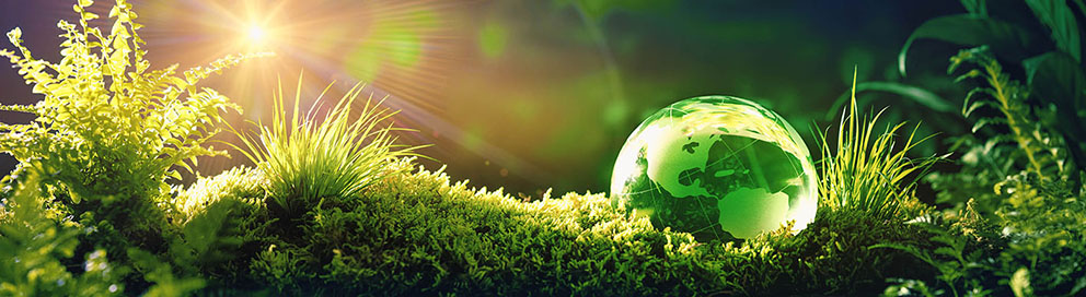 Berger Umwelt